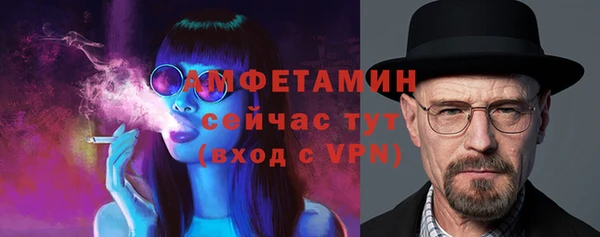 ГАЛЛЮЦИНОГЕННЫЕ ГРИБЫ Богданович