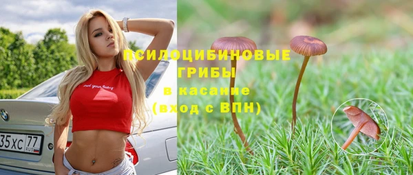spice Балабаново