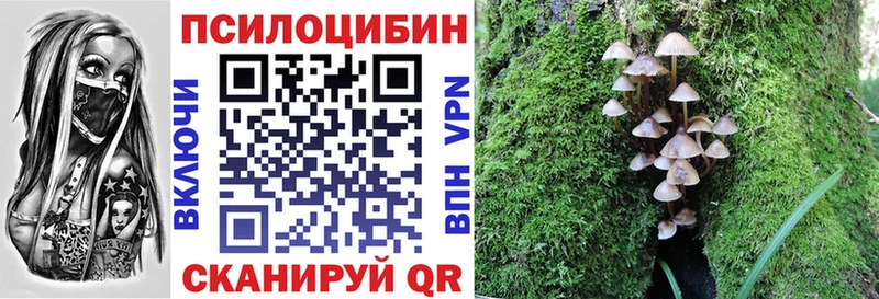 сайты даркнета клад  Дятьково  Галлюциногенные грибы GOLDEN TEACHER 
